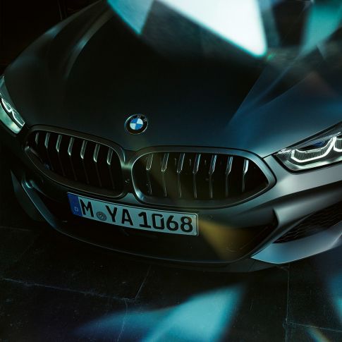 Kidney grille BMW M850i xDrive Gran Coupé Kidney grille BMW M850i xDrive Gran Coupé G16 2019 BMW Individual Frozen Bluestone metallic close-up front