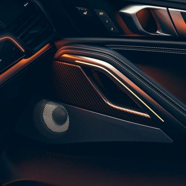 BMW X6 speaker. Close-up of the BMW interior with focus on speaker.