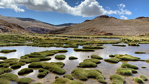 BMW Electromobility BMW Sustainability Environment Climate Protection