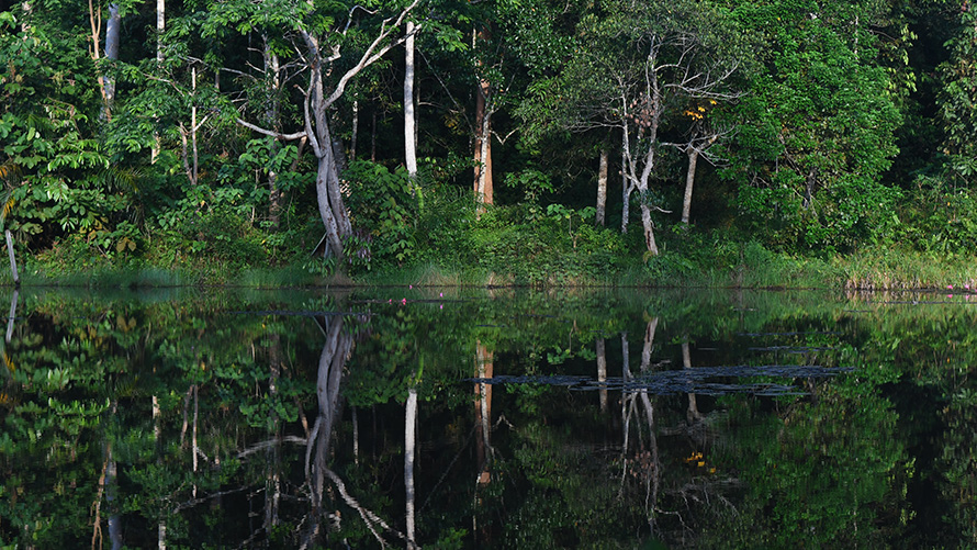 BMW Sustainability BMW Group Report stretch of water with trees in the background