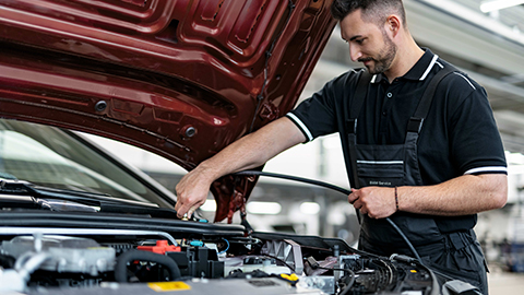 Brake fluid
